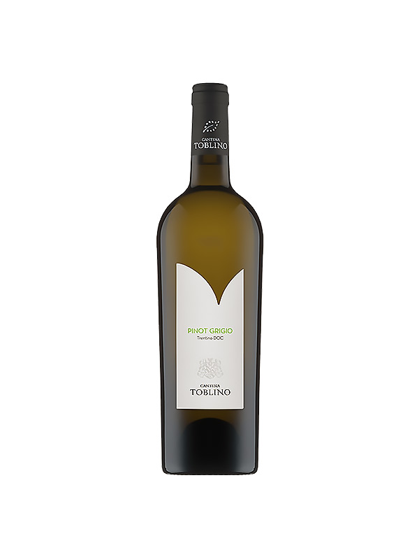 pinot-grigio-trentino-doc